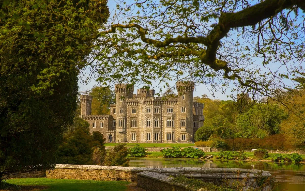 Johnstown Castle: a grey Gothic revival castle with turrets and battlements, seen across its ornamental lake and framed by an overhanging tree.
